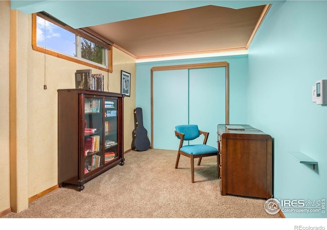 1131 W Broadmoor Dr, Loveland, CO 80537 - photo 20