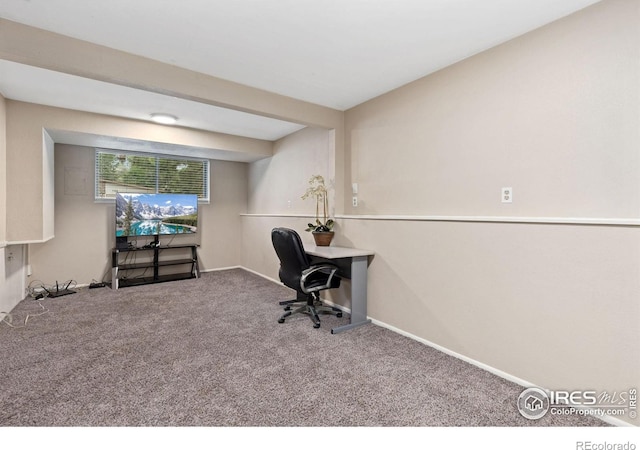 727 Mount Evans St, Longmont, CO 80504 - photo 9