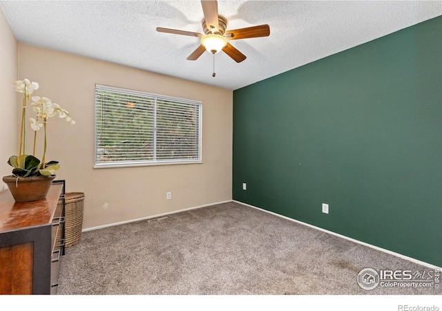 727 Mount Evans St, Longmont, CO 80504 - photo 10