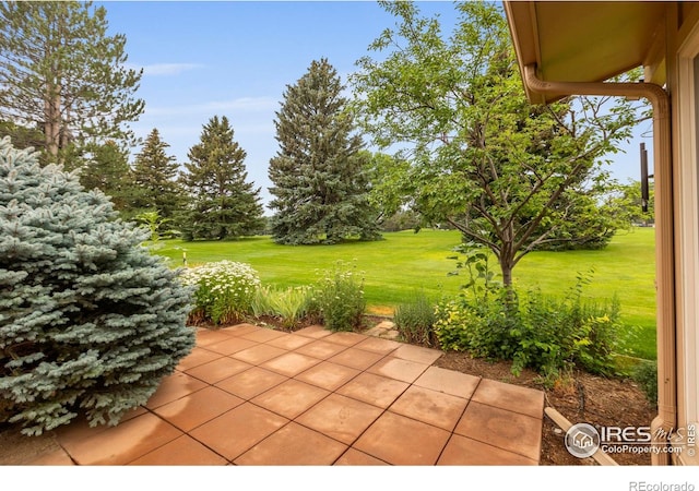 2305 Turnberry Rd, Fort Collins, CO 80524 - photo 37
