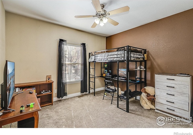 7704 Poudre River Rd, Greeley, CO 80634 - photo 21