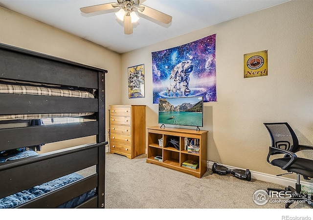 7704 Poudre River Rd, Greeley, CO 80634 - photo 22