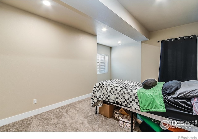 7704 Poudre River Rd, Greeley, CO 80634 - photo 27