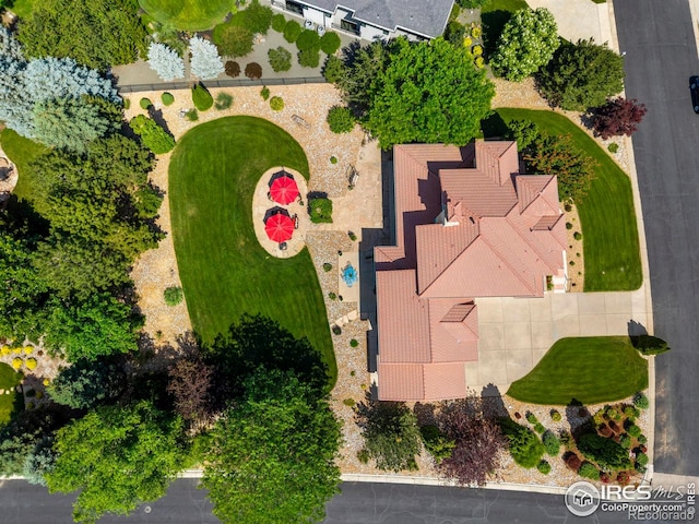 3949 W 19th Street Ln, Greeley, CO 80634 - photo 38