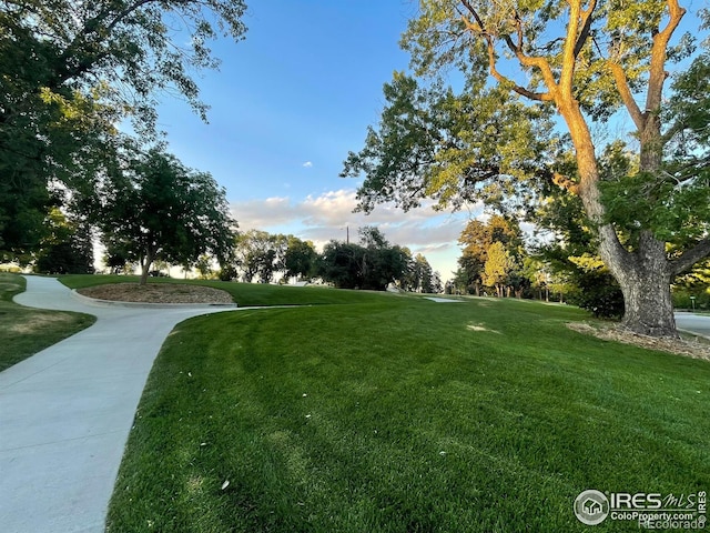 358 Knox Ct, Denver, CO 80219 - photo 18