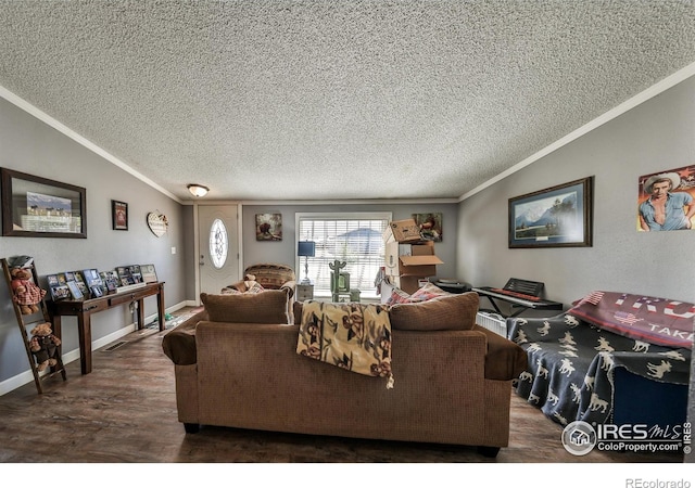 284 Main St, Walden, CO 80480 - photo 4