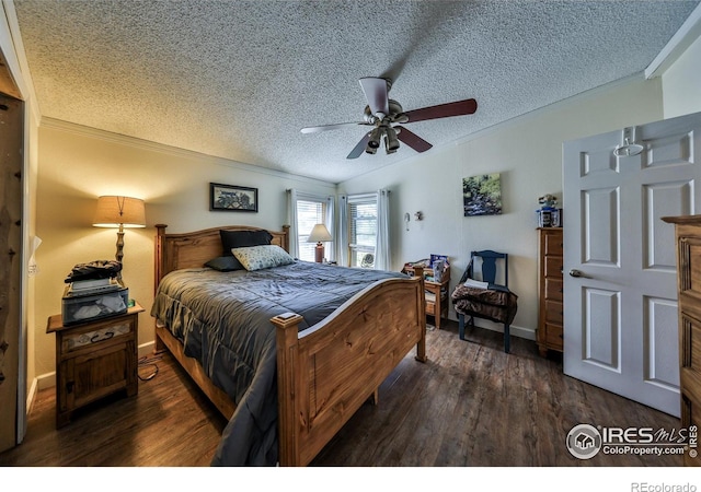 284 Main St, Walden, CO 80480 - photo 5