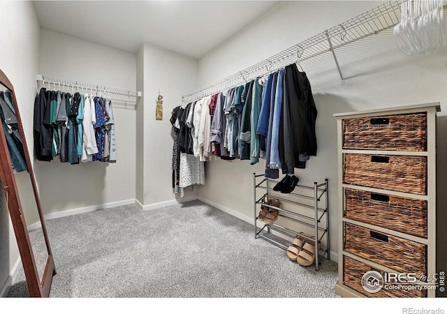 1214 Bistre St, Longmont, CO 80501 - photo 22