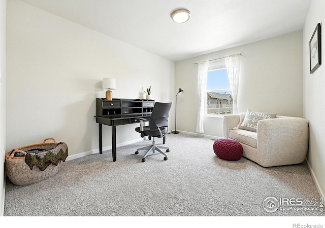 1214 Bistre St, Longmont, CO 80501 - photo 25