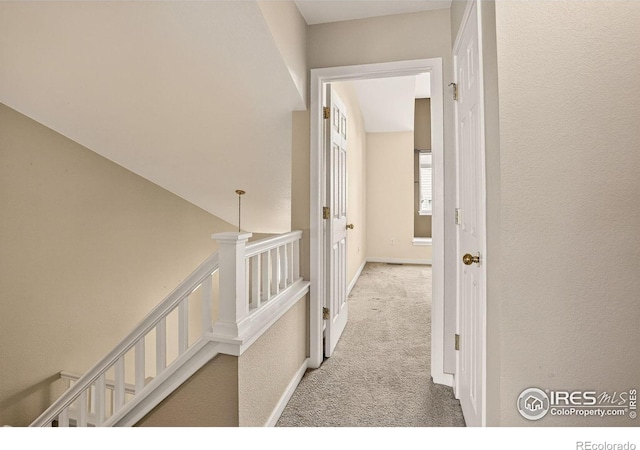 121 Rowena Pl, Lafayette, CO 80026 - photo 17