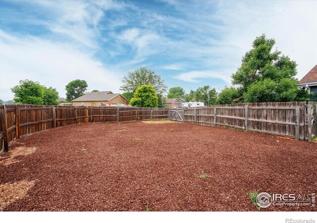 1000 Glacier Ct, Windsor, CO 80550 - photo 6