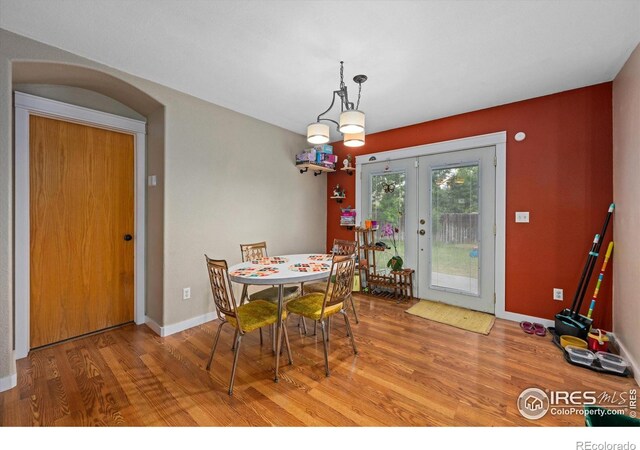 1000 Glacier Ct, Windsor, CO 80550 - photo 14