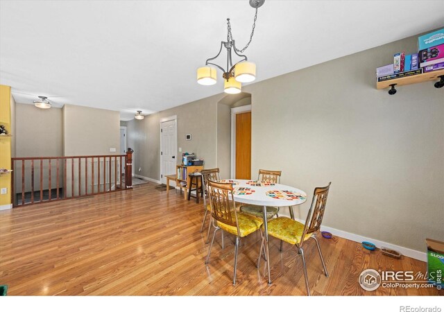 1000 Glacier Ct, Windsor, CO 80550 - photo 15