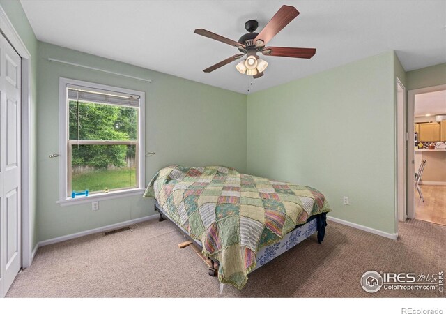 1000 Glacier Ct, Windsor, CO 80550 - photo 17