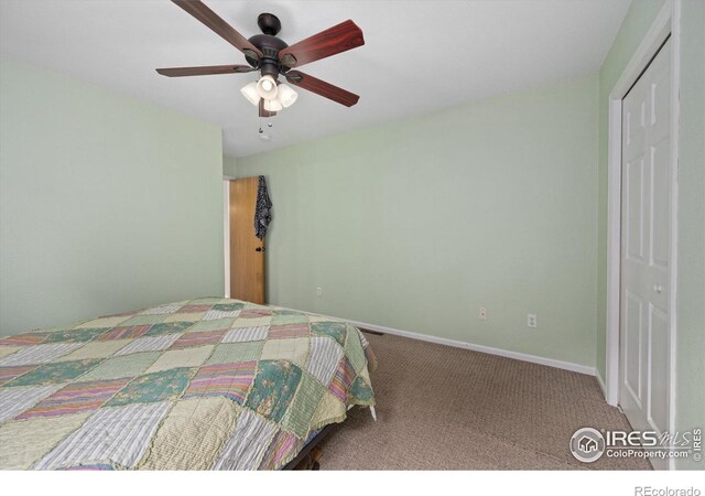 1000 Glacier Ct, Windsor, CO 80550 - photo 18