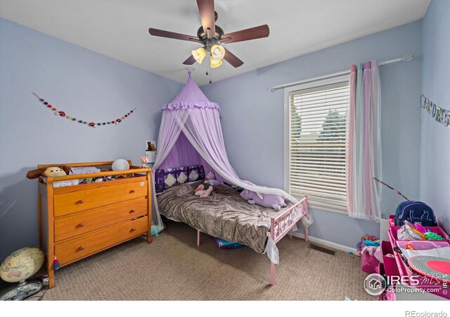 1000 Glacier Ct, Windsor, CO 80550 - photo 20