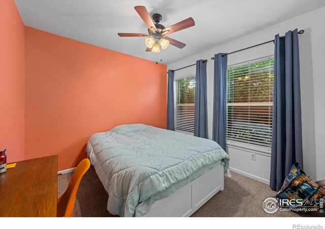 1000 Glacier Ct, Windsor, CO 80550 - photo 22