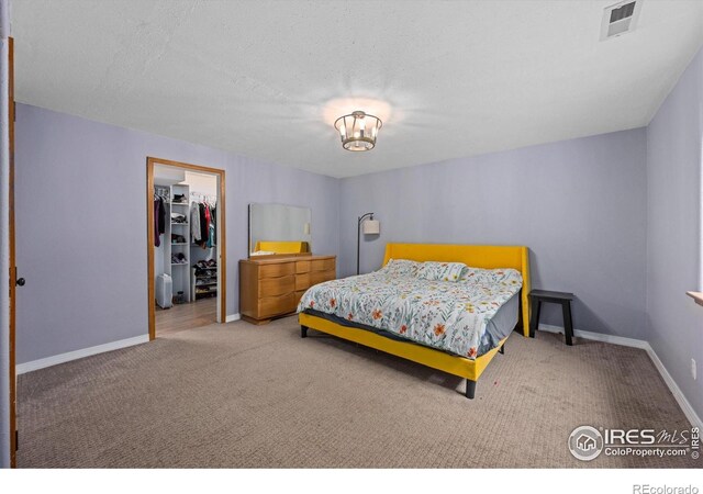 1000 Glacier Ct, Windsor, CO 80550 - photo 25