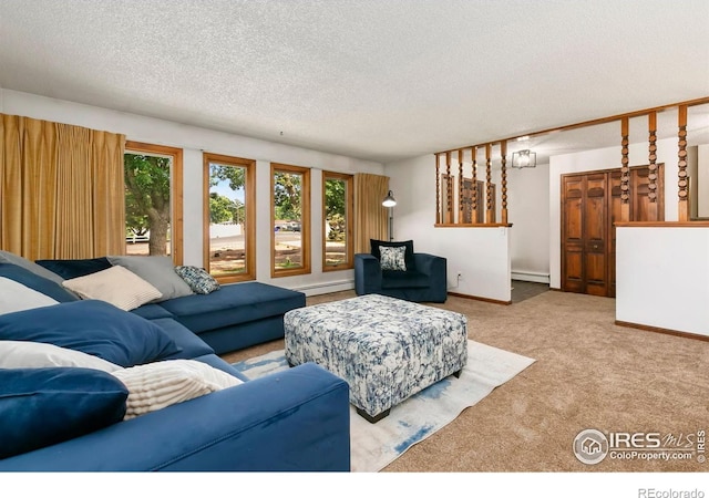315 38th Ave, Greeley, CO 80634 - photo 6