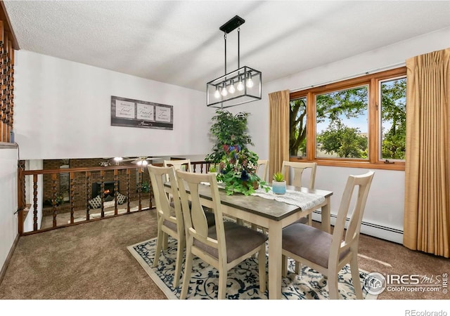 315 38th Ave, Greeley, CO 80634 - photo 11