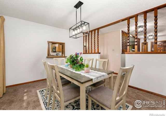 315 38th Ave, Greeley, CO 80634 - photo 12