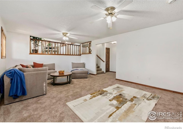 315 38th Ave, Greeley, CO 80634 - photo 23
