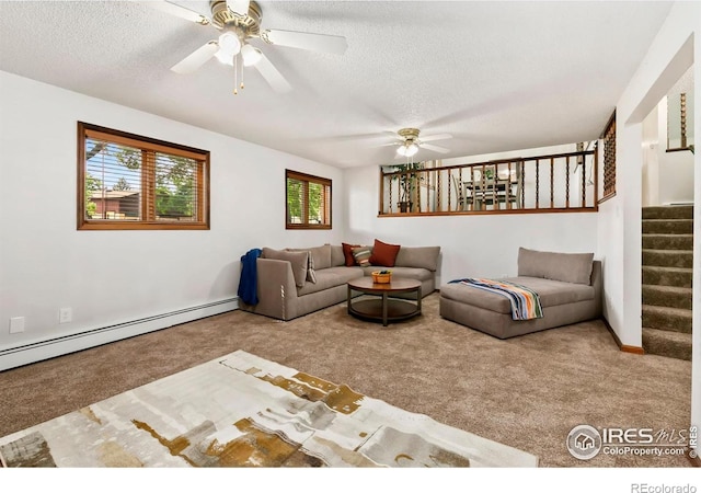 315 38th Ave, Greeley, CO 80634 - photo 24