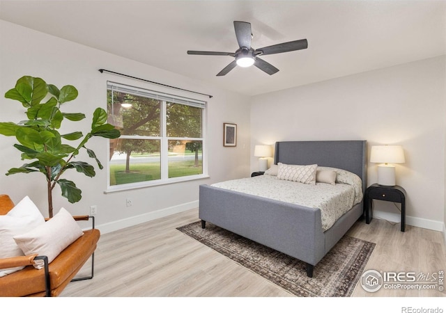 848 Shire Ct, Fort Collins, CO 80526 - photo 9