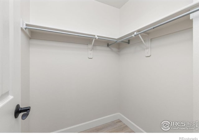 848 Shire Ct, Fort Collins, CO 80526 - photo 13