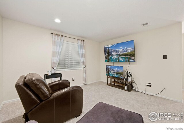 45 Sebring Ln, Johnstown, CO 80534 - photo 24