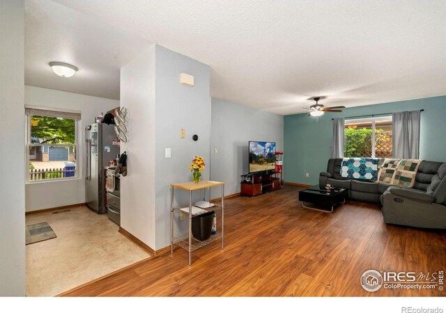 3702 Dalton Dr, Fort Collins, CO 80526 - photo 6
