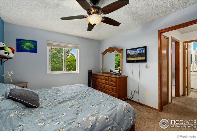 3702 Dalton Dr, Fort Collins, CO 80526 - photo 10