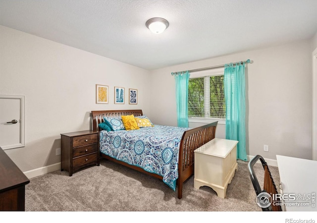3160 Rock Park Dr, Fort Collins, CO 80528 - photo 22