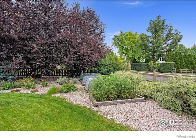 3160 Rock Park Dr, Fort Collins, CO 80528 - photo 33