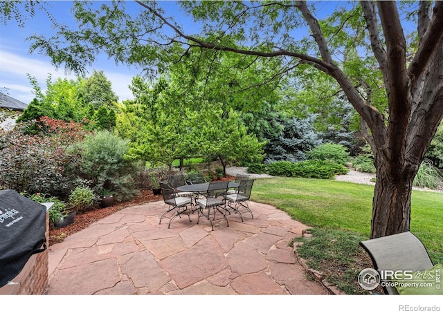 3160 Rock Park Dr, Fort Collins, CO 80528 - photo 34