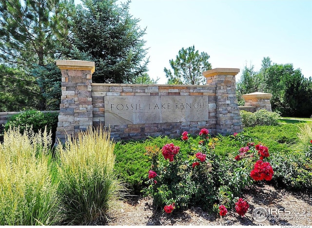 3160 Rock Park Dr, Fort Collins, CO 80528 - photo 39