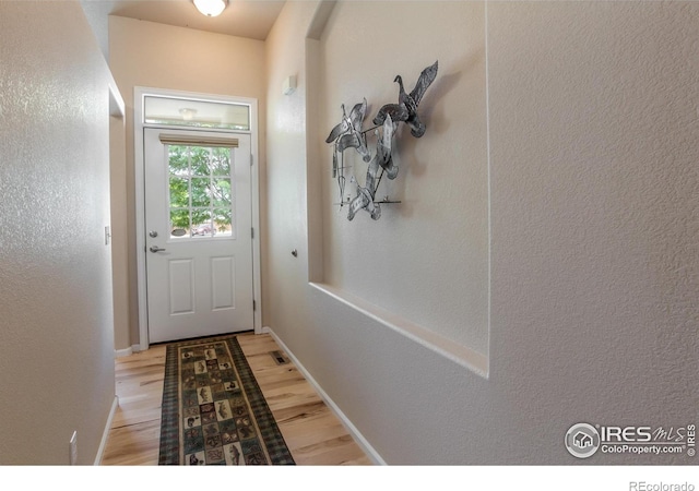 515 Limber Pine Ct, Severance, CO 80550 - photo 4