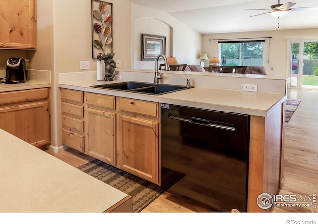 515 Limber Pine Ct, Severance, CO 80550 - photo 7