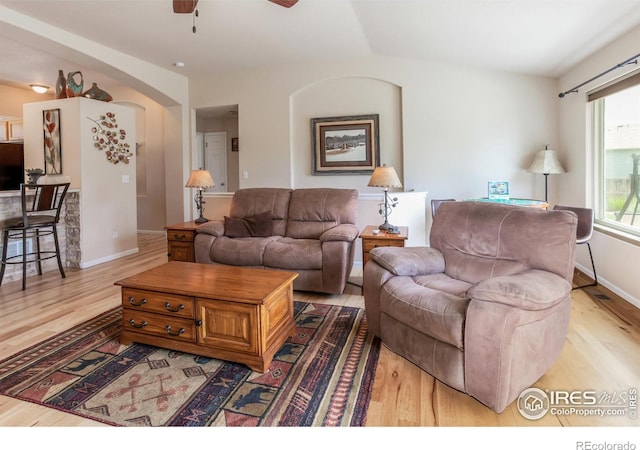515 Limber Pine Ct, Severance, CO 80550 - photo 13