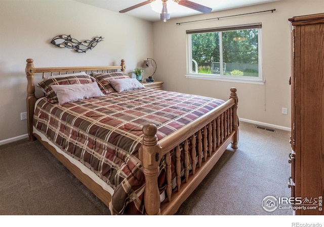 515 Limber Pine Ct, Severance, CO 80550 - photo 15