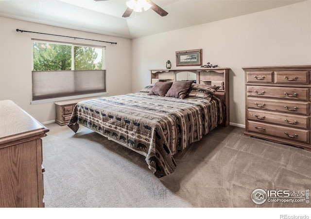 515 Limber Pine Ct, Severance, CO 80550 - photo 16