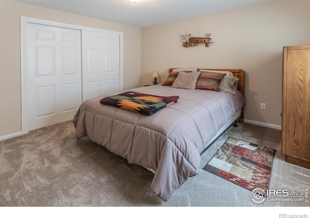 515 Limber Pine Ct, Severance, CO 80550 - photo 28
