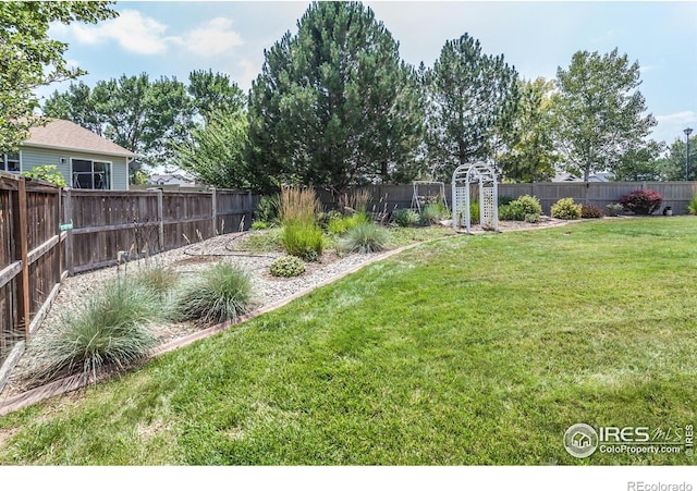 515 Limber Pine Ct, Severance, CO 80550 - photo 32