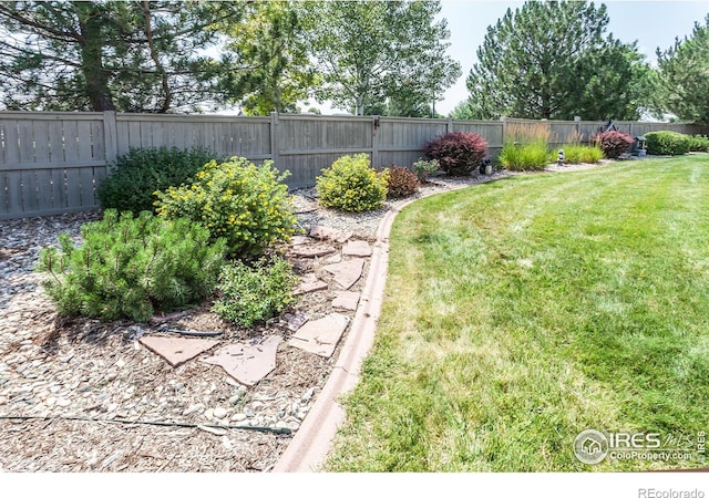515 Limber Pine Ct, Severance, CO 80550 - photo 33