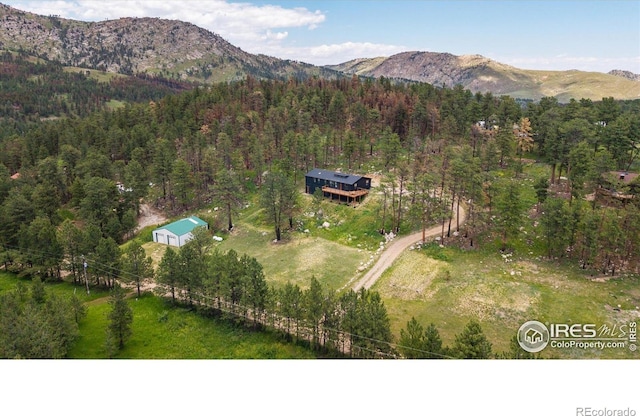 805 Spruce Mountain Dr, Drake, CO 80515 - photo 5