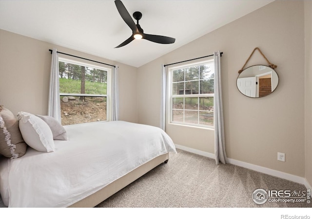 805 Spruce Mountain Dr, Drake, CO 80515 - photo 16