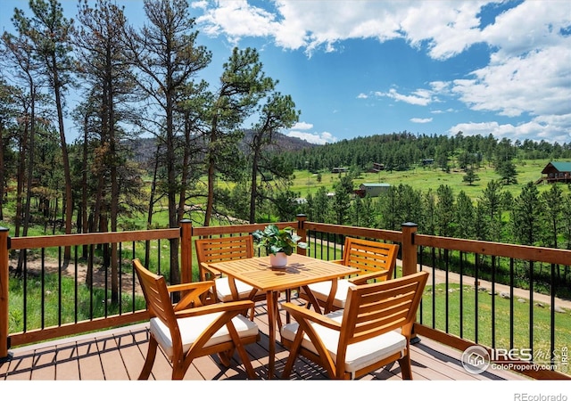 805 Spruce Mountain Dr, Drake, CO 80515 - photo 34