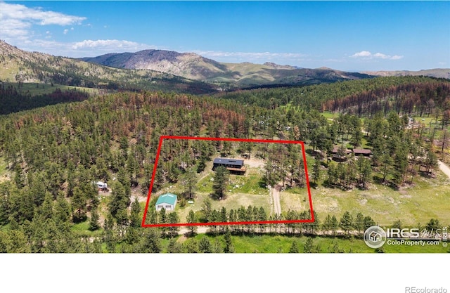 805 Spruce Mountain Dr, Drake, CO 80515 - photo 35