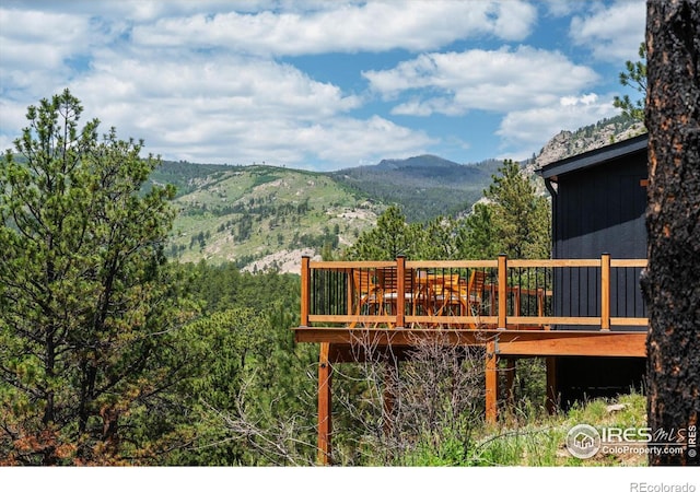 805 Spruce Mountain Dr, Drake, CO 80515 - photo 36