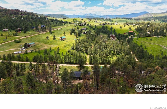 805 Spruce Mountain Dr, Drake, CO 80515 - photo 37